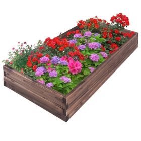 Solid Wood 4 ft x 2 ft Raised Garden Bed Planter 9 inch High