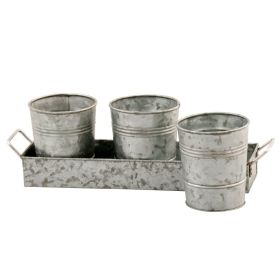 Galvanized Set of Three Planters With Tray, Gray