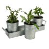 Galvanized Set of Three Planters With Tray, Gray
