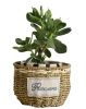 Straw Pots Standing Planters With Handle Glass Woven Planters Decoration(B)