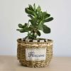 Straw Pots Standing Planters With Handle Glass Woven Planters Decoration(B)