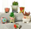 Set of 2 Small Garden Pots Creative Flowerpots Succulent Plant Ceramics Pots [I]