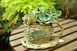 Plant Container/ Decorative Planter Coffee Cup/ Hand Made Basket/ 14x12CM