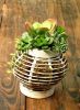 Plant Container/ Decorative Planter Lantern/ Succulent Plant Planter/ 15x15x18CM