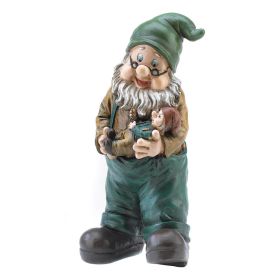 Grandpa Gardian Gnome