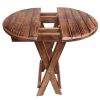 3 Piece Plank Style Mango Wood Outdoor Folding Portable Picnic Table Set, Rustic Brown